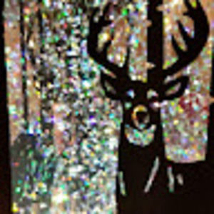 Meet your Posher, Anissa